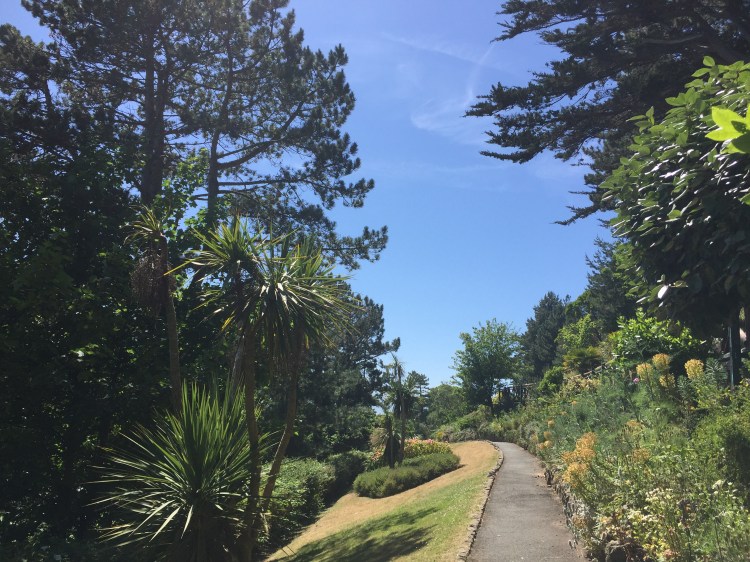 garden